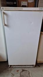 Diepvries kist, vriezer, Witgoed en Apparatuur, Vriezers en Diepvrieskisten, Ophalen, Gebruikt, Minder dan 60 cm, 120 tot 140 cm