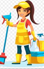 Huishoudelijke hulp gezocht, Schoonmaken