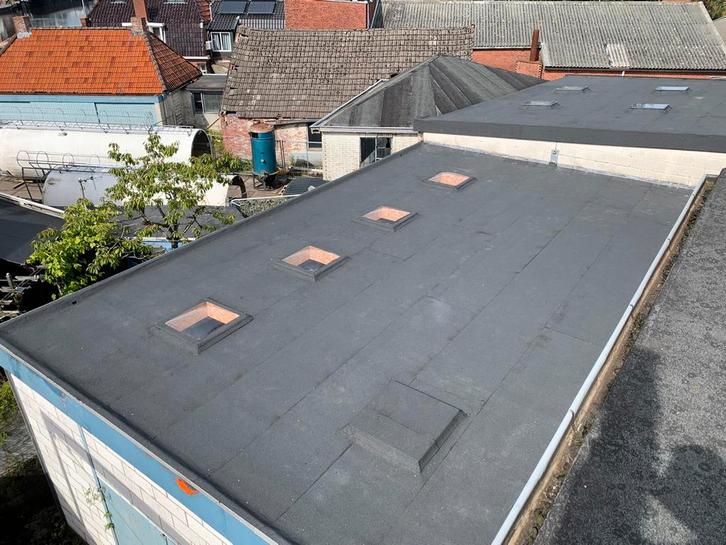 Dakdekker. Reparatie van een dak, Tuin en Terras, Onkruidbranders, Nieuw, Ophalen of Verzenden