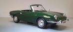 Fiat 850 Spider Groen, Ophalen of Verzenden, Nieuw, Auto, Overige merken
