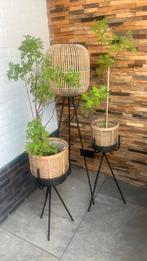 3 delige set met staande lamp en 2 bloembakken, Ophalen of Verzenden, Zo goed als nieuw, Rond, Minder dan 60 cm