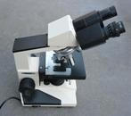 Novex microscoop K-range, Ophalen of Verzenden, Zo goed als nieuw, Overige typen