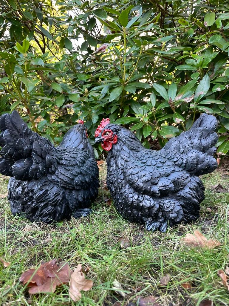 Zwarte kippen tuin beeld boerderij boer ei erf, Tuin en Terras, Tuinbeelden, Ophalen, Nieuw, Kunststof