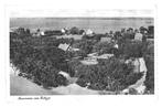 901961 Catrijp NH panorama . Leuke oude kaart Onbeschreven