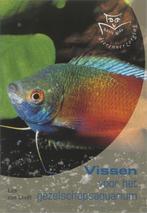 Vissen voor het gezelschapsaquarium, Ophalen of Verzenden, Nieuw, Vissen