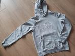 Sweater Bien bleu maat M, igs, Maat 38/40 (M), Ophalen of Verzenden, Zo goed als nieuw, Grijs