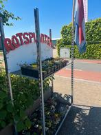 Rots planten moederdag 24/7 aan de weg 12 stuks/tray voor10€, Ophalen of Verzenden, Zomer, Overige soorten, Volle zon
