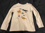 Truitje lange mouwen met dinos maat 98-104, Kinderen en Baby's, Ophalen of Verzenden, Zo goed als nieuw, Jongen, Trui of Vest