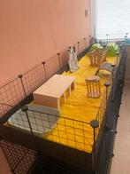 Vakantieopvang voor konijnen, cavia’s en kleine knagers, Dieren en Toebehoren, Ophalen, Overige typen, Nieuw, 90 cm of meer