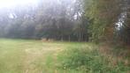 Bosperceel/grond Dwingeloo te koop!
