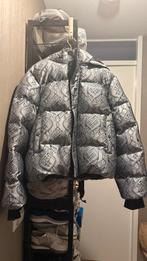 Dailypaper winterjas, Kleding | Heren, Jassen | Winter, Ophalen, Nieuw, Overige maten, Daily Paper