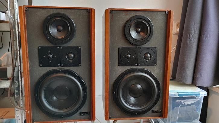 Magnat Transpuls TP 25, Audio, Tv en Foto, Luidsprekers, Gebruikt, Front, Rear of Stereo speakers, 120 watt of meer, Magnat, Ophalen