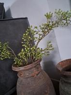Groene rozenbottel tak €19,50 p.s. 
(1 tak op de foto, s, Huis en Inrichting, Ophalen of Verzenden, Nieuw