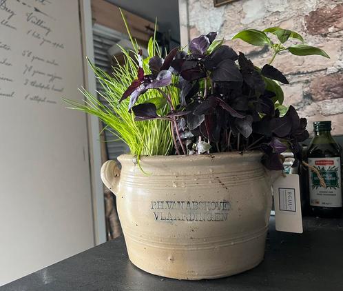 ANTIEKE ANJOVIS POT, Antiek en Kunst, Antiek | Woonaccessoires, Ophalen of Verzenden