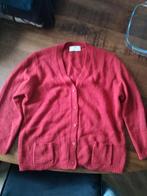 Nieuwe Cashmere Trui, Kleding | Dames, Truien en Vesten, Peter Hahn, Ophalen of Verzenden, Nieuw