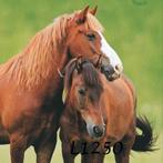 Servetten decoupage/bullet journal – paarden L1250, Verzenden, Nieuw, Materiaal