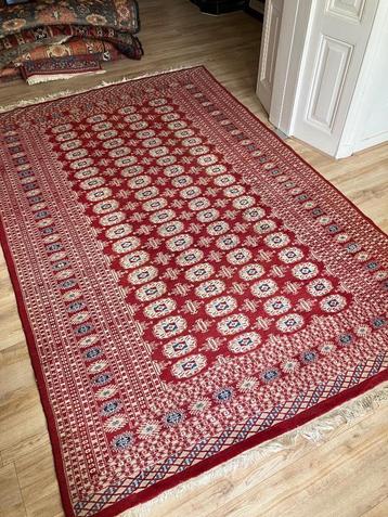 Mooi groot Perzisch kleed beschikbaar voor biedingen