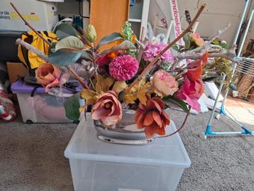 Zijdebloemen in pot. beschikbaar voor biedingen