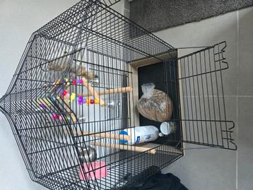 Vogelkooi compleet zgan beschikbaar voor biedingen