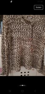 biba mooie trui, Verzenden, Nieuw