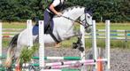 Te koop: lieve Spaanse kruising – schimmel ruin (1.51 m), Dieren en Toebehoren, Pony's, Ruin, Ontwormd