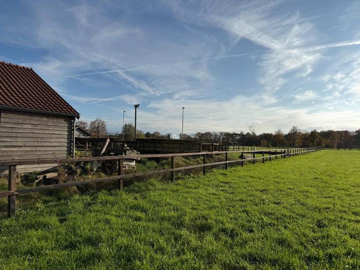 Geïmpregneerd hekwerk voor afzetten weide, Dieren en Toebehoren, Stalling en Weidegang, Weidegang, Toebehoren, 4 paarden of pony's of meer