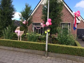 Te huur: Kinderwagen van steigerhout beschikbaar voor biedingen