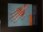 Prometheus anatomische atlassen, Boeken, Ophalen of Verzenden, Beta, Zo goed als nieuw, HBO