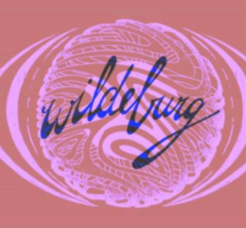 Wildeburg 2025 x1 Ticket, Tickets en Kaartjes, Evenementen en Festivals, Eén persoon