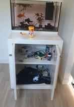 Aquarium met 4 grote vissen en toebehoren, Dieren en Toebehoren, Ophalen of Verzenden, Zo goed als nieuw