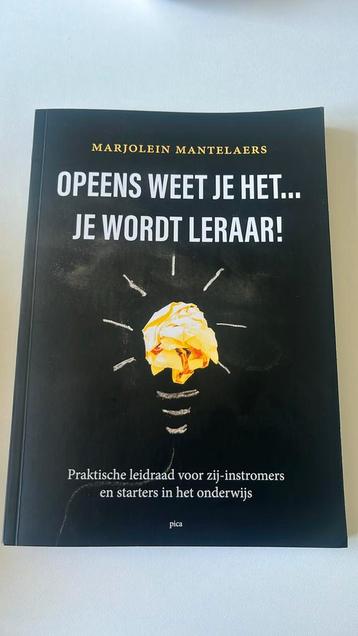 Marjolein Mantelaers - Opeens weet je het … je wordt leraar! beschikbaar voor biedingen