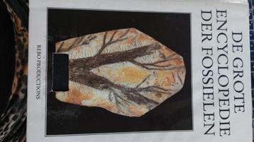 de grote encyclopedie der fossielen + fossielen beschikbaar voor biedingen