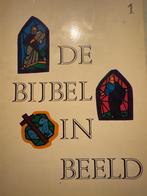 Gezocht: De Bijbel in Beeld strip, Meerdere stripboeken, Ophalen of Verzenden, Gelezen