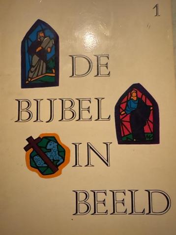 Gezocht: De Bijbel in Beeld strip beschikbaar voor biedingen