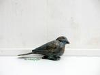 230* Bronzen vogel (Boven €75 geen verzendkosten), Ophalen of Verzenden, Nieuw, Overige materialen, Dierenbeeld
