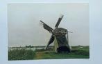 Warmond ( Z.H.) De Laecker molen, Verzenden, 1980 tot heden, Ongelopen, Zuid-Holland
