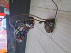 Tifanny lamp, Antiek en Kunst, Antiek | Lampen, Ophalen