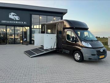 Paardenwagen >>dubbele cabine<< bed/airco/paardenvrachtwagen beschikbaar voor biedingen