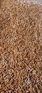 Meelwormen, Ophalen, Nieuw, Eten en Drinken