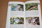 A Photographic Guide to Birds of the West Indies., Boeken, Ophalen of Verzenden, Zo goed als nieuw, Vogels