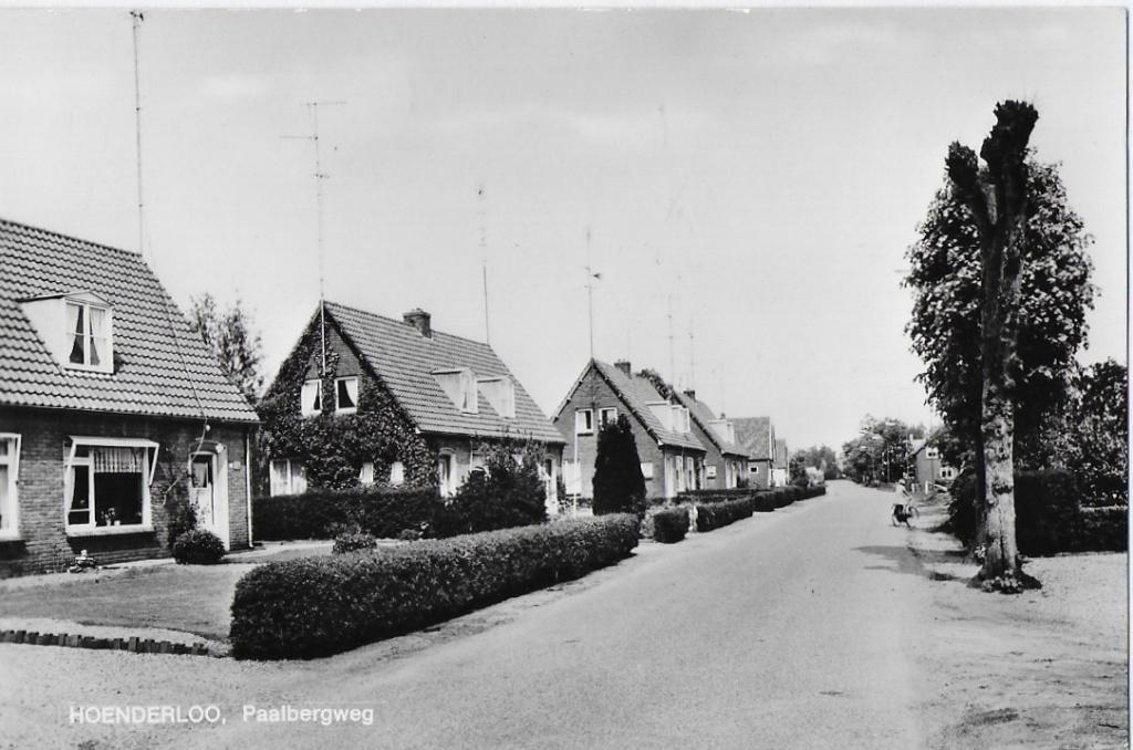 Hoenderloo Paalbergweg Oude Ongelopen Ansichtkaart B1921, Ophalen of Verzenden, 1960 tot 1980, Ongelopen