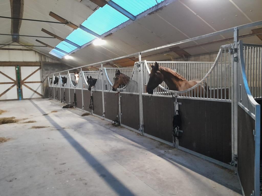 voorwand + tussenwand LUX, Dieren en Toebehoren, Stalling en Weidegang, Stalling