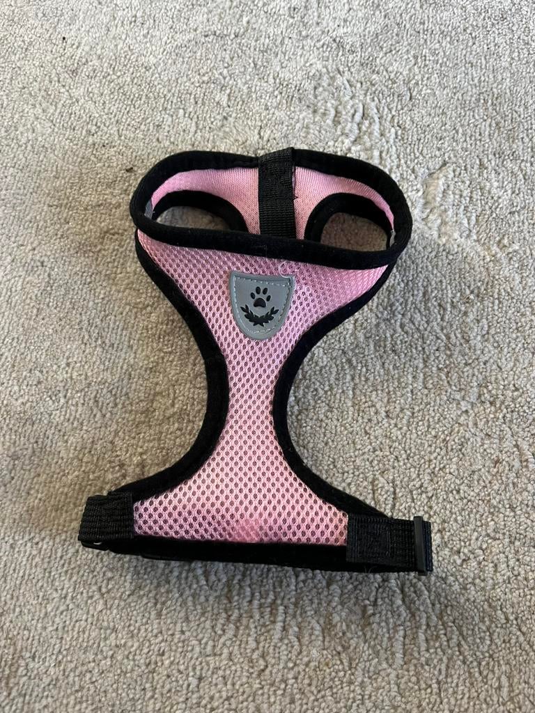 Roze honden tuig. Kleine hond., Ophalen of Verzenden, Zo goed als nieuw