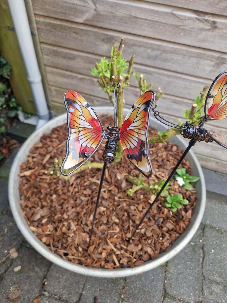 Tuinstekers vlinder met glas - set van mica decorations, Ophalen