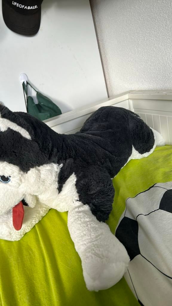 Grote Husky Knuffel - Zo goed als nieuw, Overige merken, Overige karakters, Zwart, Zo goed als nieuw