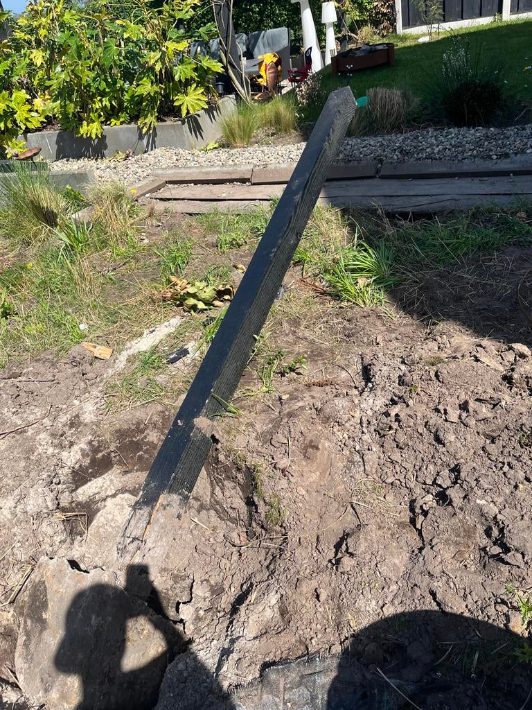 2 douglas balken, Ophalen of Verzenden, 250 cm of meer, Balken