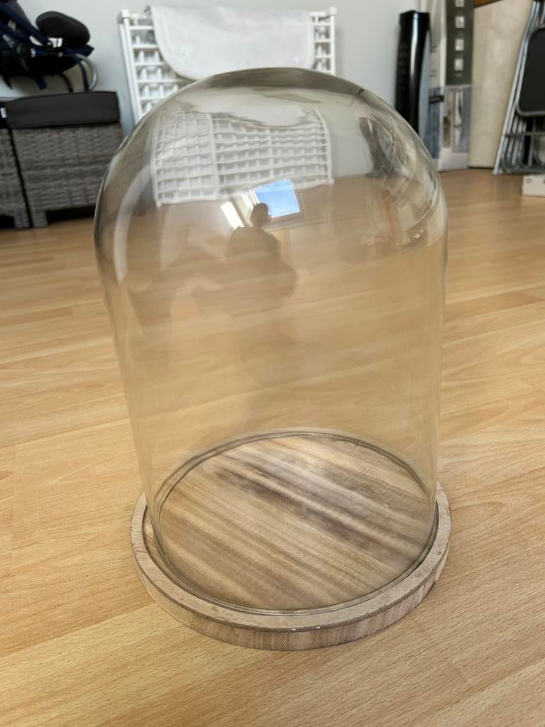 Glazen stolp, Huis en Inrichting, Woonaccessoires | Stolpen, Ophalen, Zo goed als nieuw
