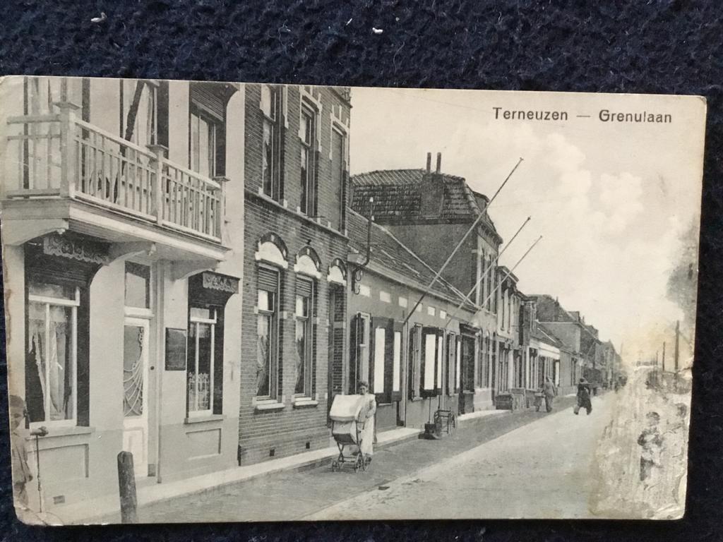 Oude Ansichtkaart Terneuzen - Grenulaan (1917), Ophalen of Verzenden, Voor 1920, Gelopen, Zeeland