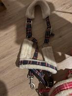 Nieuwe Shetlander halsters van qhp, Ophalen of Verzenden, Nieuw, Overige soorten