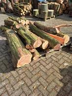 Vers taxus  hout, Minder dan 3 m³, Ophalen
